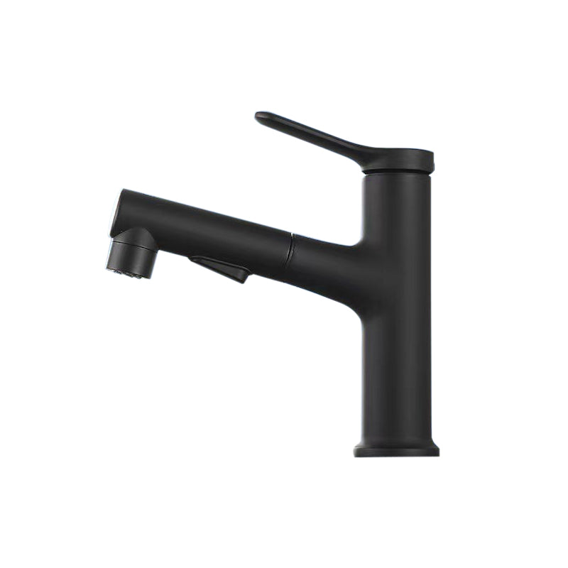 Lisslune | Vessel Sink Faucet Contemporary Pull-out Faucet with Swivel Spout