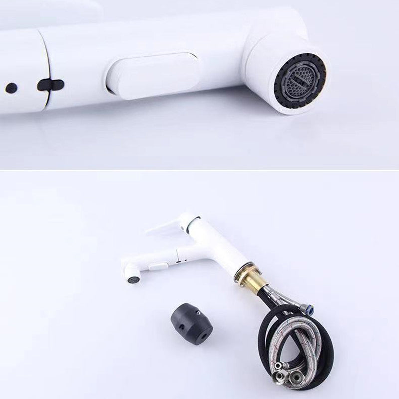 Lisslune | Vessel Sink Faucet Contemporary Pull-out Faucet with Swivel Spout