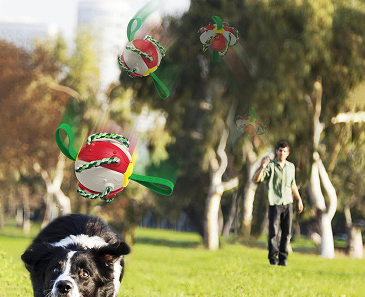 Lisslune | Interactive dog toy
