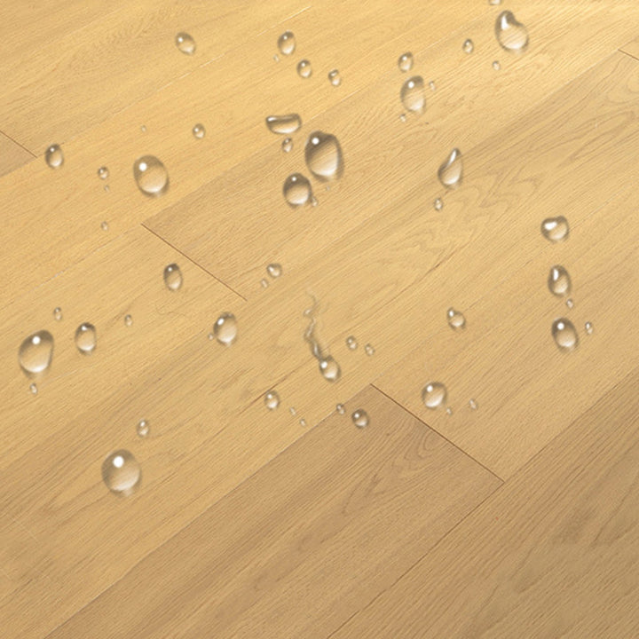 Lisslune | Modern laminate flooring waterproof click laminate flooring with wax coating