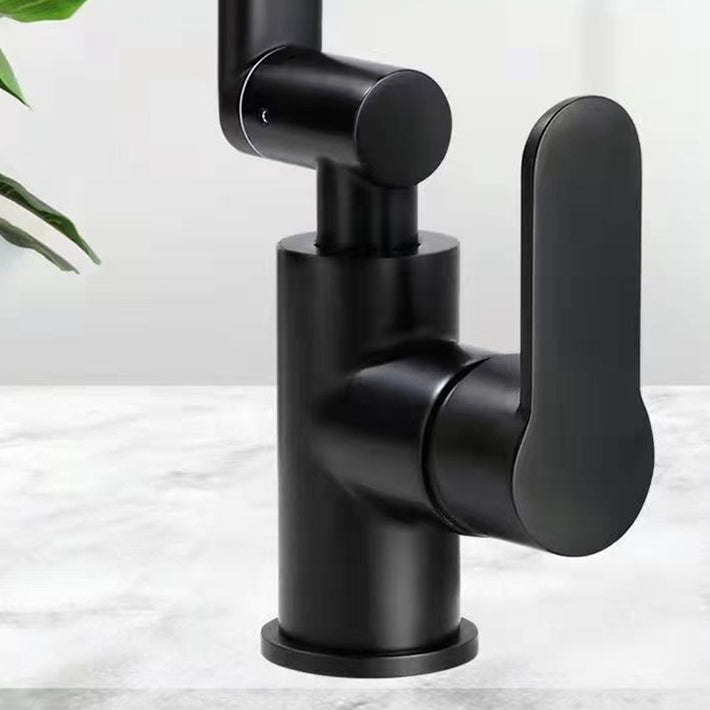 Lisslune | Modern sink faucet stainless steel lever handles swivel spout sink faucet