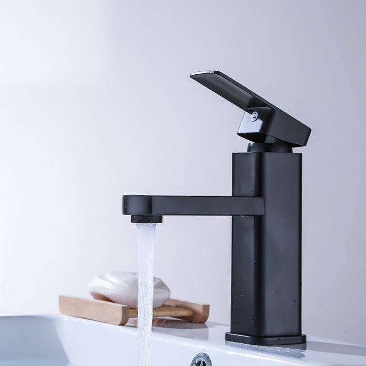 Lisslune | Industrial Bathroom Faucet Stainless Steel Lever Handles with Water Hose Sink Faucet