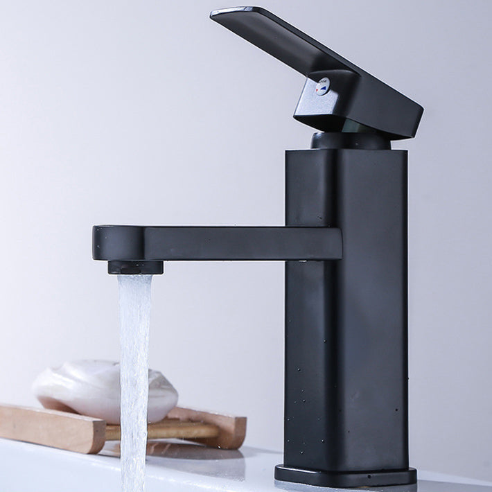 Lisslune | Industrial Bathroom Faucet Stainless Steel Lever Handles with Water Hose Sink Faucet