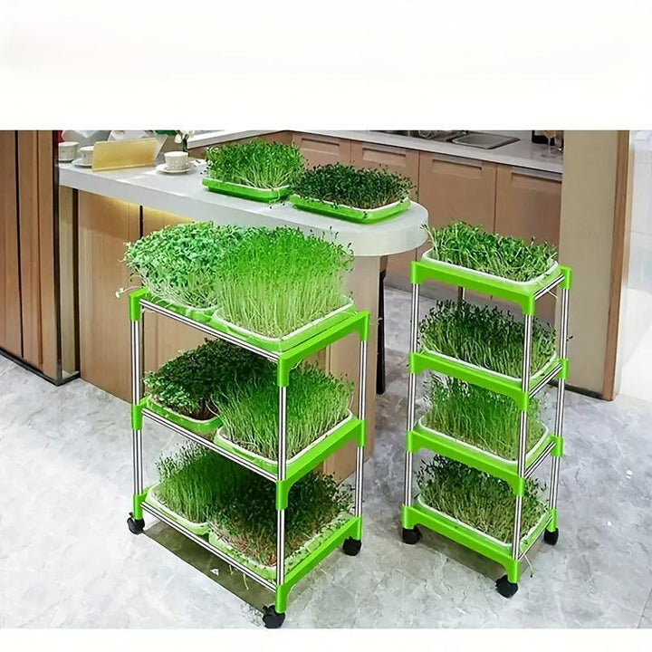 Lisslune | Soil-free Hydroponic Seedling Germination Trays - 5-Pack for Indoor & Outdoor Cultivation