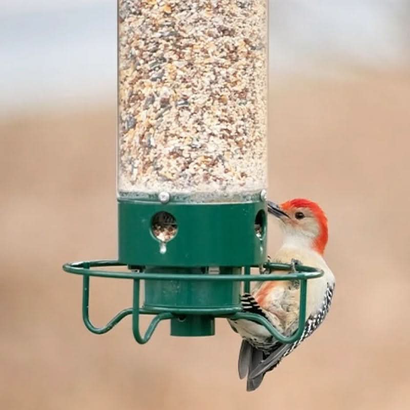 Lisslune | Squirrel-Proof Bird Feeder – 5lb Seed Tube with 4 Ports