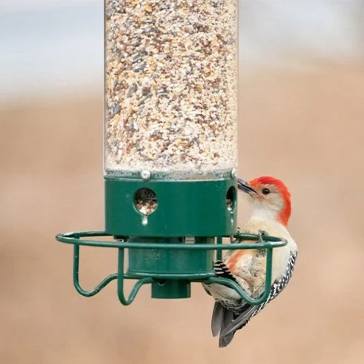 Lisslune | Squirrel-proof bird feeder