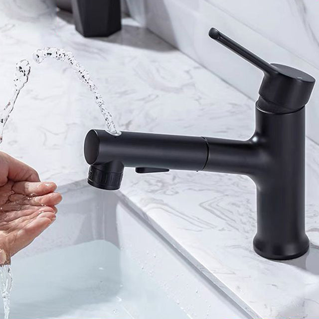 Lisslune | Contemporary Sink Faucet Simple Low Arc Copper Sink Faucet