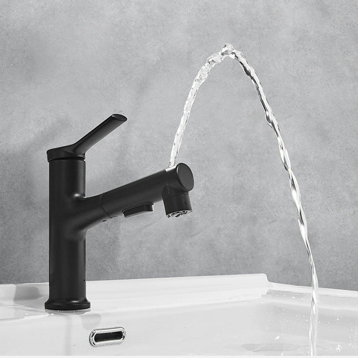 Lisslune | Contemporary Sink Faucet Simple Low Arc Copper Sink Faucet
