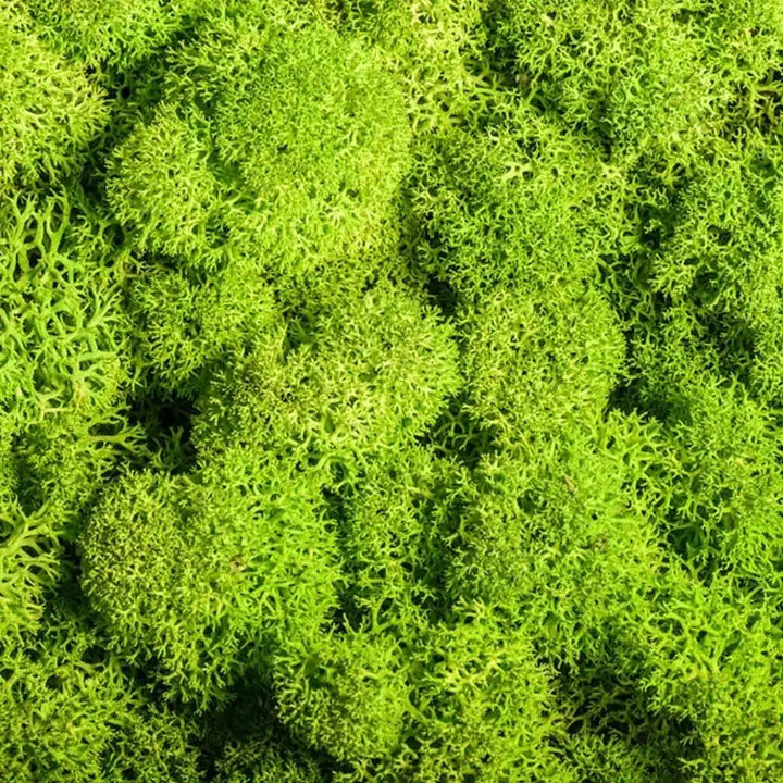 Lisslune | Artificial Moss for Landscaping – Moss and Flowers for Decoration and Floristry