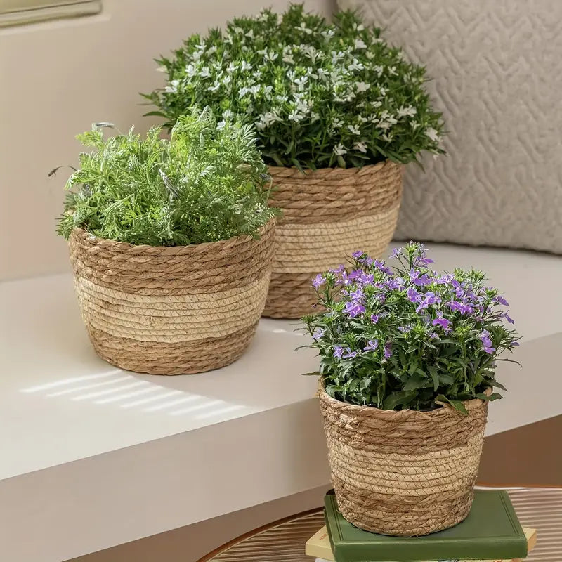 Lisslune | Decorative plant baskets made of seagrass in a set of 3 – Handwoven flower pots with foil insert