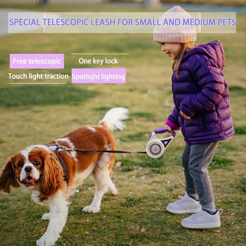 Lisslune | Luminous lead for pets