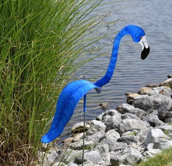Lisslune | Flamingo Dancing