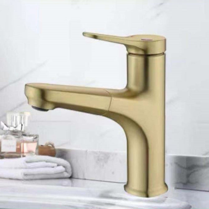 Lisslune | Round Modern Sink Faucet with Pull-Out Single-Hole Basin Faucet