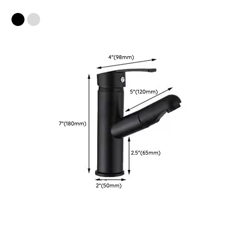 Lisslune | Lever Handle Faucet Contemporary Pull-Out Faucet for the Bathroom