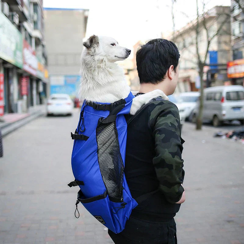Lisslune | Dog Backpack – Comfortable Carrying Bag for Medium Dogs with Safety Strap and Storage Pockets