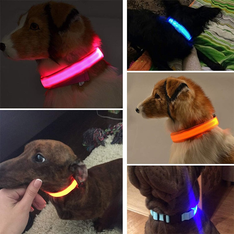Lisslune | Adjustable LED collar