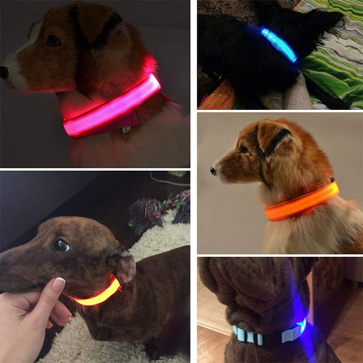 Lisslune | Adjustable LED collar