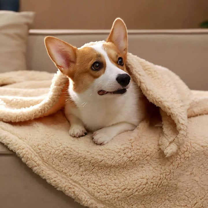 Lisslune | FLOOPIE - Premium Pet Fleece Blanket