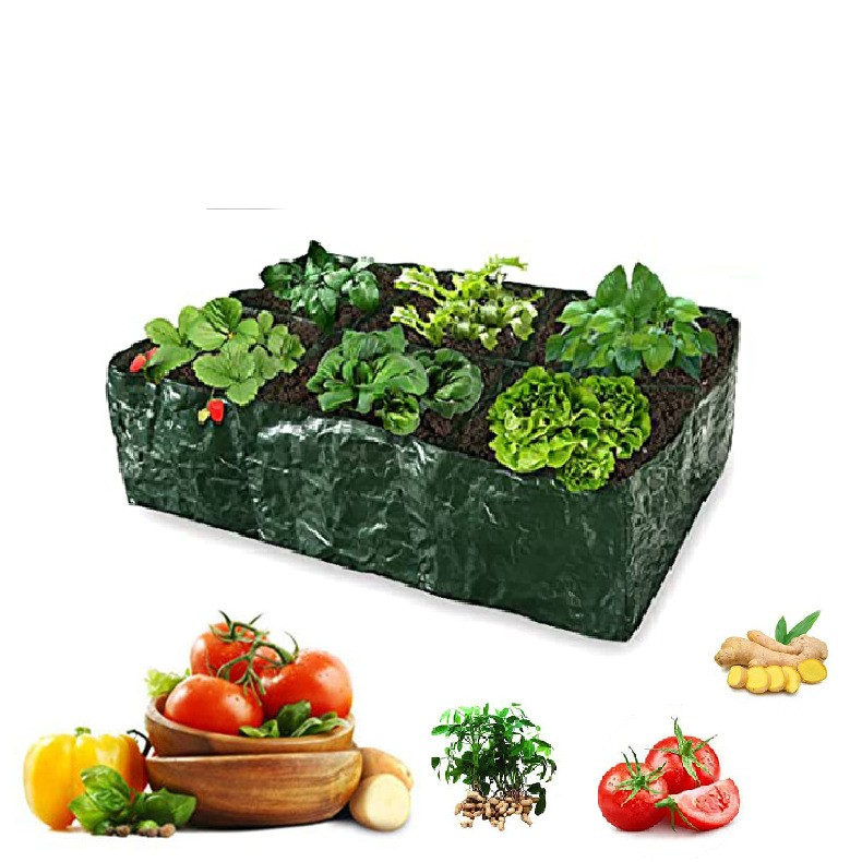 Lisslune | Planting bag with multiple compartments – Robust garden storage for plants and herbs