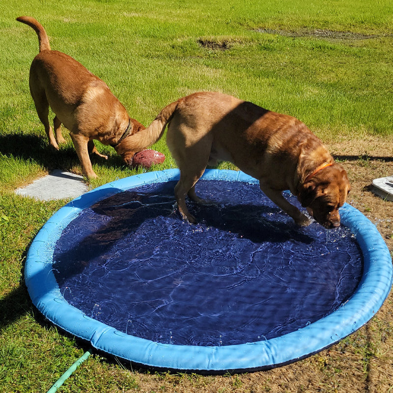 Lisslune | Folding Pet Bathing Pad