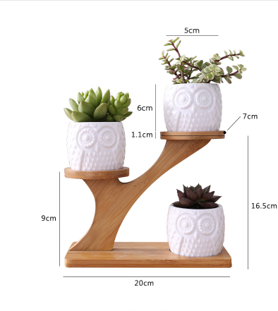 Lisslune | Decorative plant stand made of wood – plant pots in owl design for succulents and indoor plants
