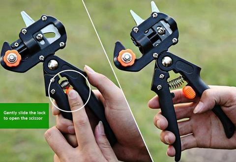 Lisslune | Refinement scissors for garden – Precise cutting tools for grafting and refining plants