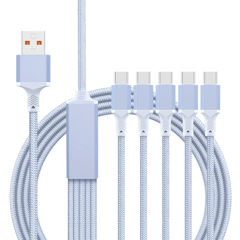Lisslune | 100W Fast-Charge 5-in-1 Data Cable- Power Up