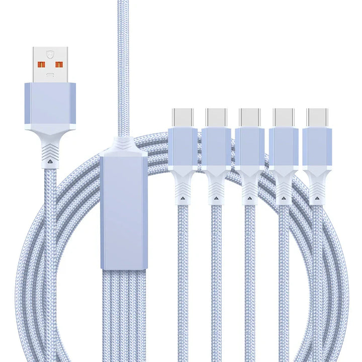 Lisslune | 100W Fast-Charge 5-in-1 Data Cable- Power Up