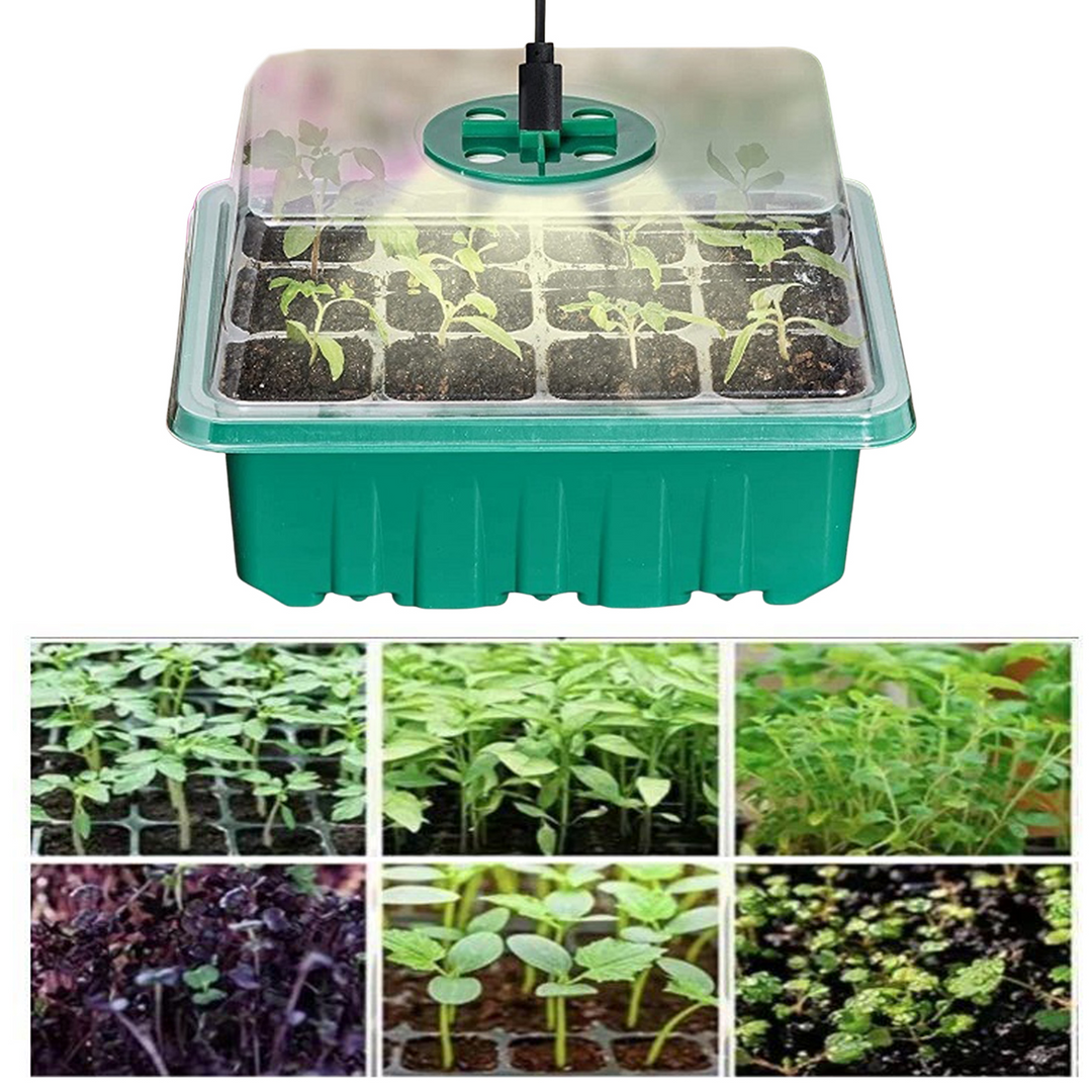 Lisslune | Grow kit with light – Complete set for successful plant cultivation