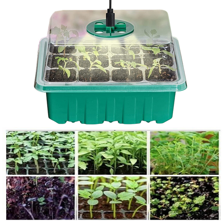 Lisslune | Grow kit with light – Complete set for successful plant cultivation
