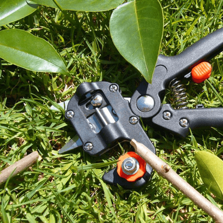 Lisslune | Professional Garden Grafting Tool Set