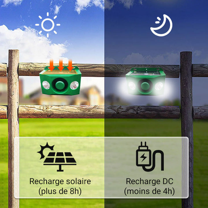 Lisslune | Solar-Warning Lamp Anti-Bête with High Volume
