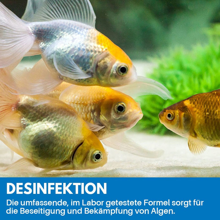Lisslune | Cleaning Powder for Aquarium