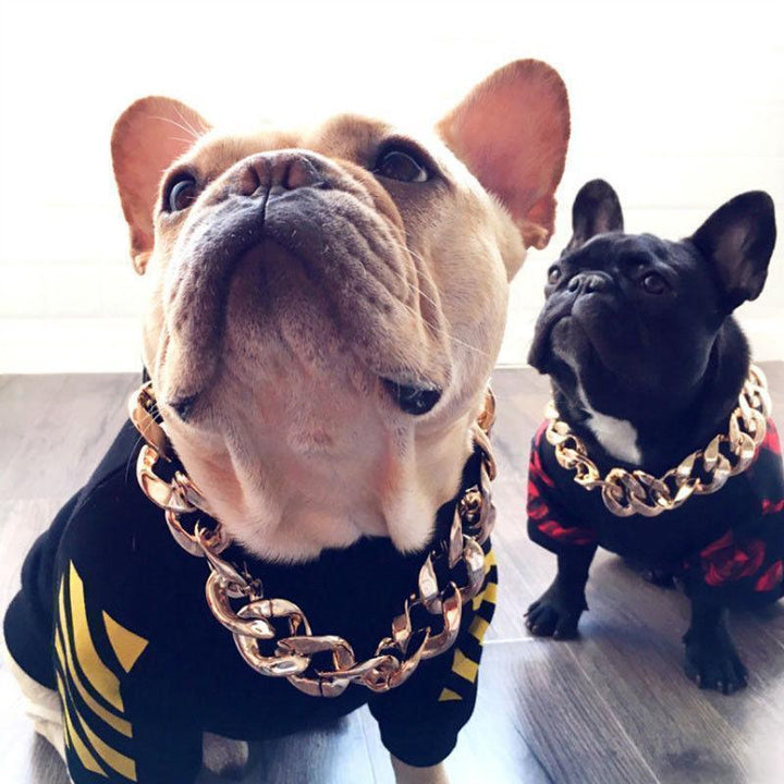 Lisslune | Thick golden chain pet safety collar
