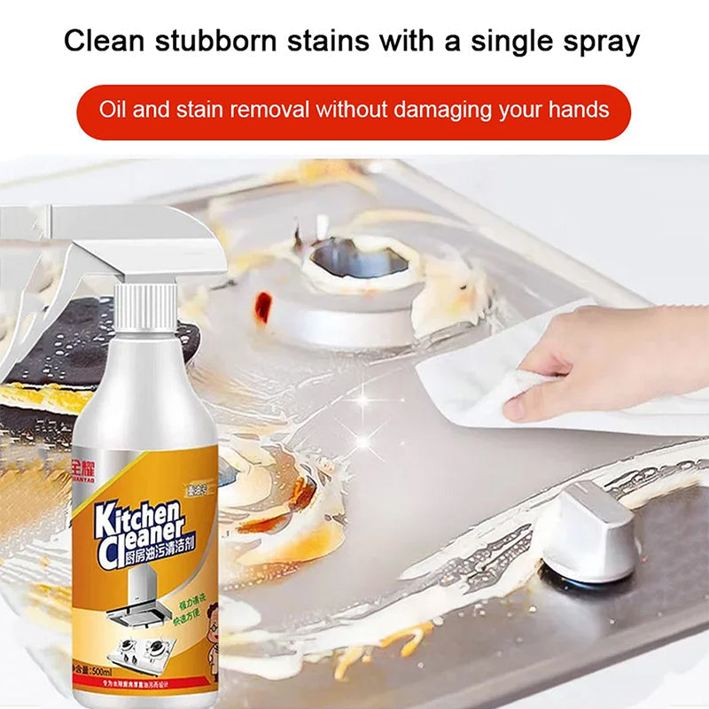Lisslune | Kitchen Foam Cleaner (500ml)