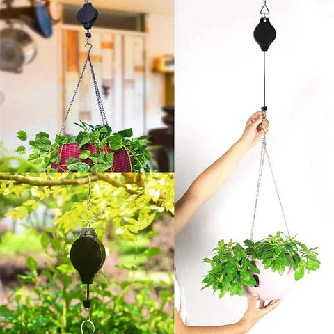 Lisslune | Plant Hanging Set - 4 Piece Set