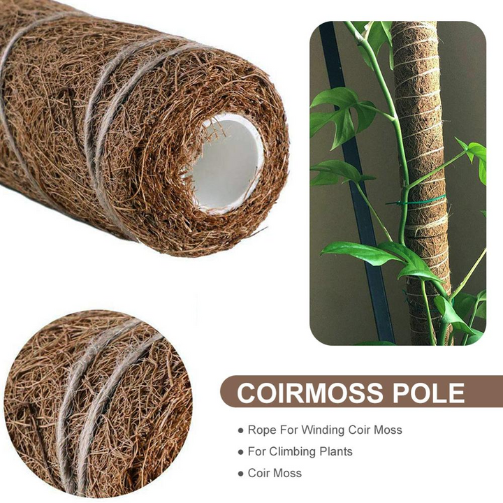 Lisslune | Coconut moss stick for climbing plants – Natural climbing aid for houseplants and garden