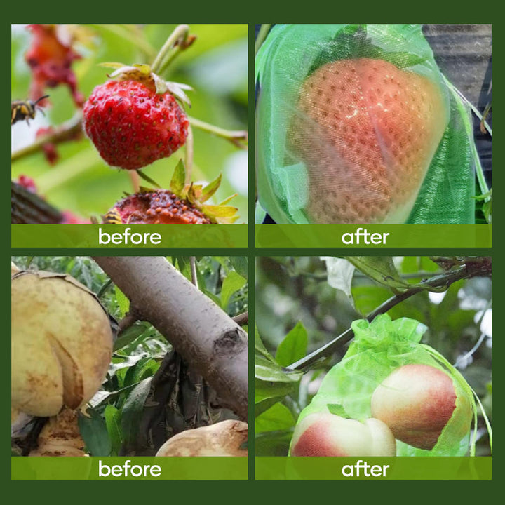 Lisslune | Fruit Protection Bag (100 PCS)