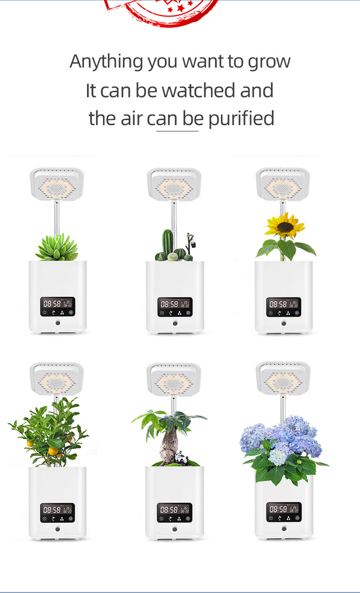 Lisslune | Multifunctional smart hydroponic plant pot with calendar, diffuser and desk lamp