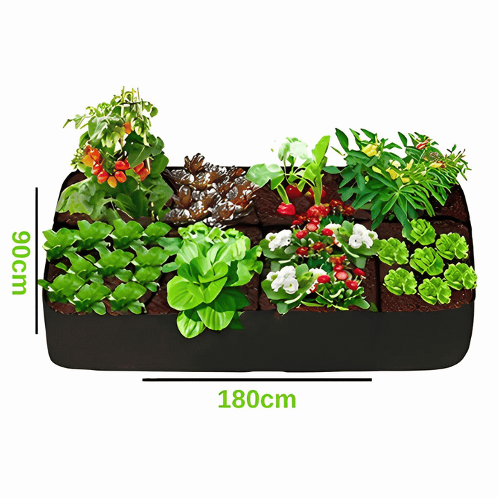 Lisslune | The Mini Vegetable Garden Organic - Grow Your Own Vegetables