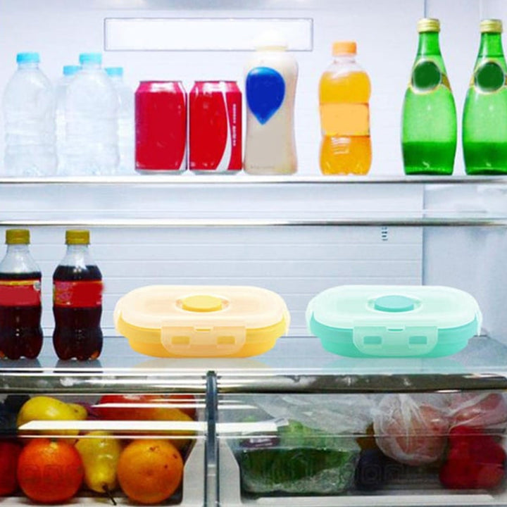 Lisslune | Sealable Food Storage Box