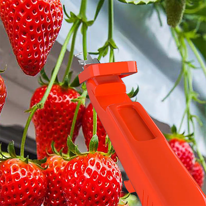 Lisslune | Efficient Pepper Collecting Tools