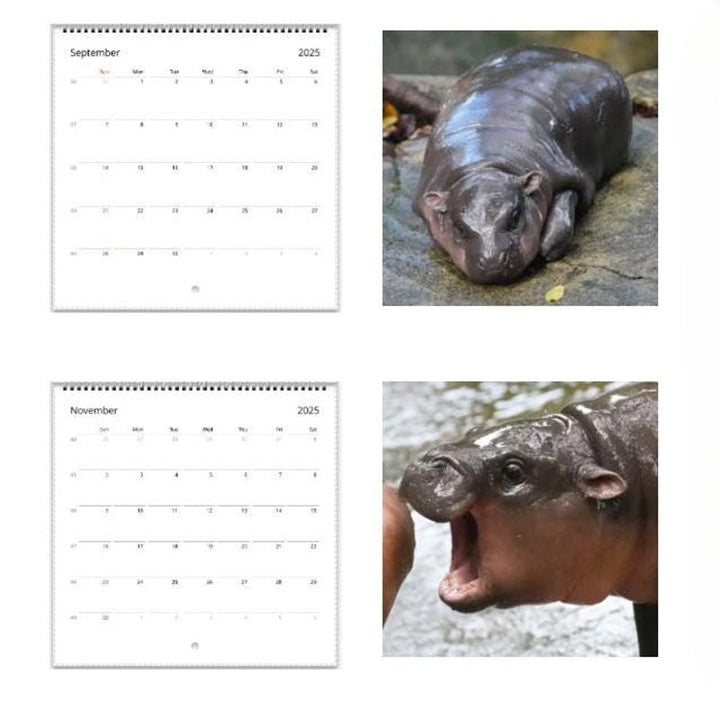 Lisslune | Moo Deng Calendar | Calendar 2025