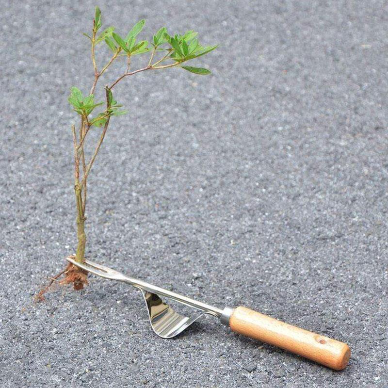 Lisslune | Weed puller with natural wood handle