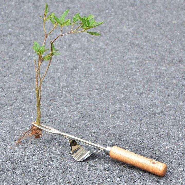 Lisslune | Weed puller with natural wood handle