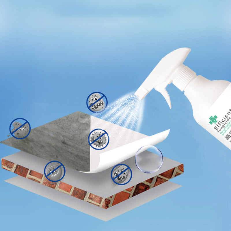 Lisslune | High-Efficiency Mold Remover