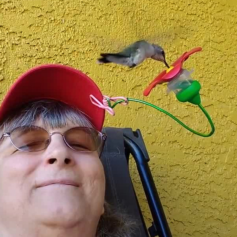 Lisslune | Hat Clip Hummingbird Feeder