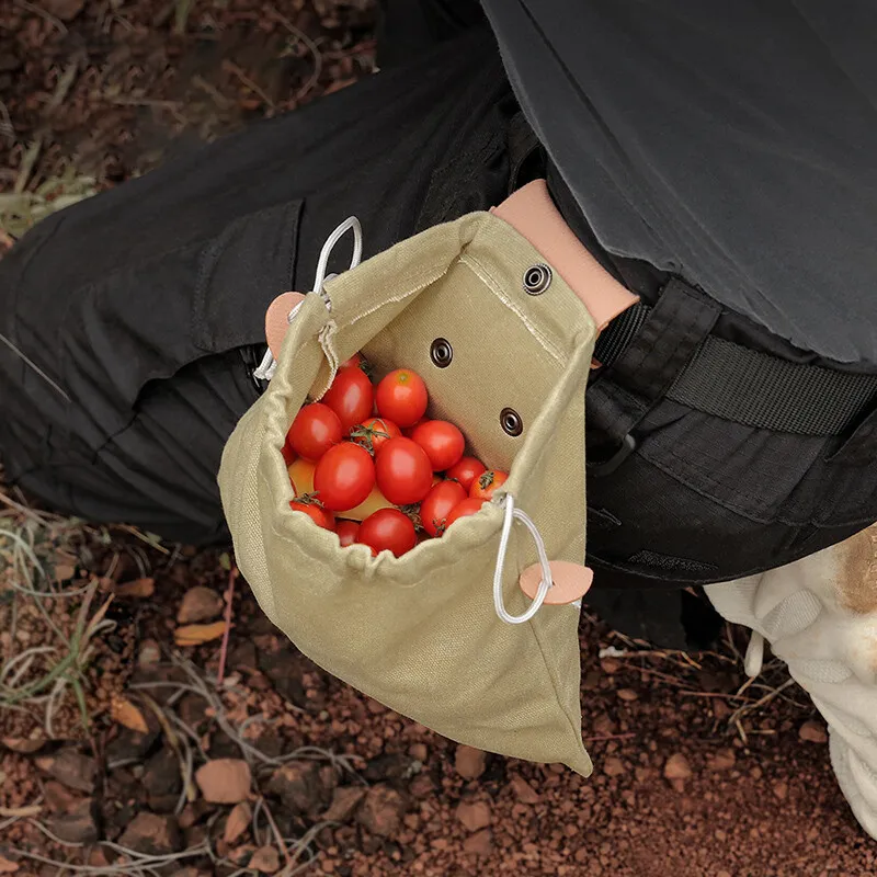 Lisslune | Foldable Canvas Belt Bag