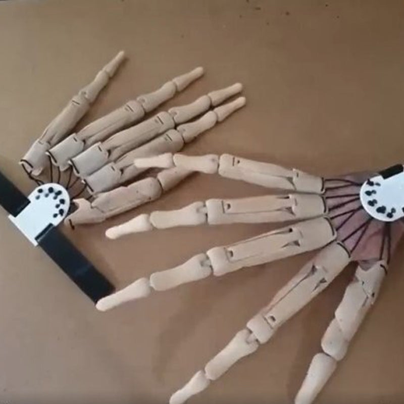 Lisslune | Halloween Accessories Articulated Fingers
