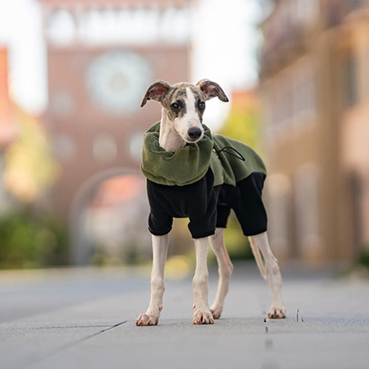 Lisslune | Full Protection Polar Fleece Dog Overall with Removable Collar